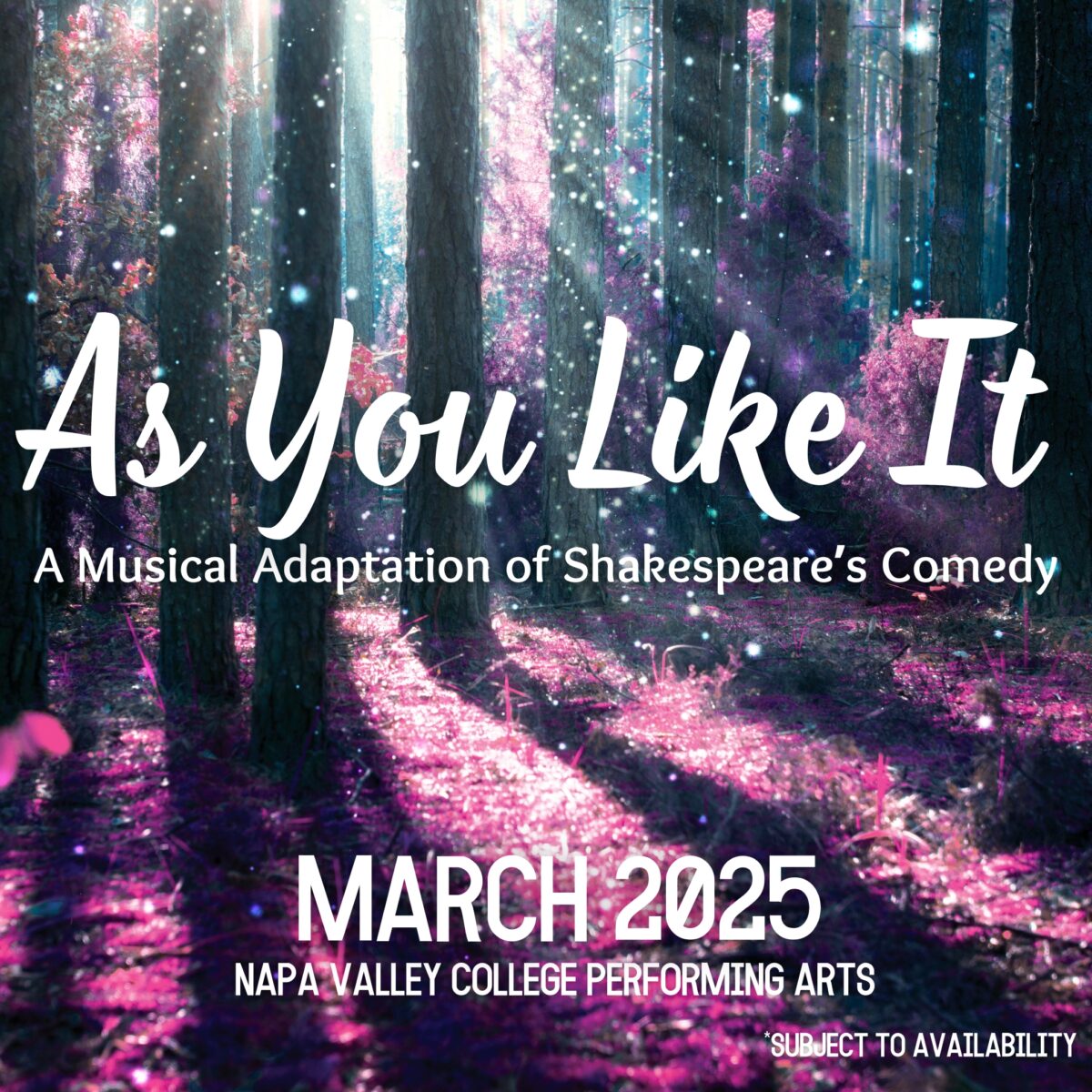NVC Performing Arts 2024/2025 Season Performing Arts Center Napa